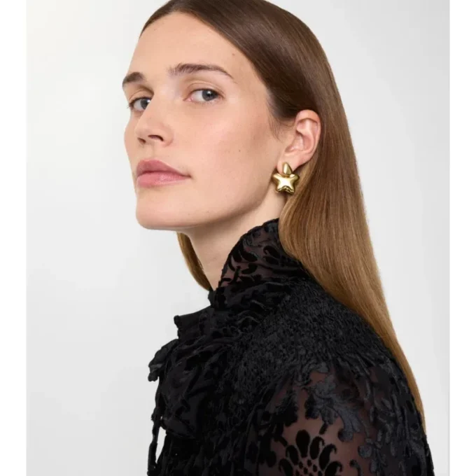 Star Earrings