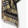 Stormy Knight Wool Cape