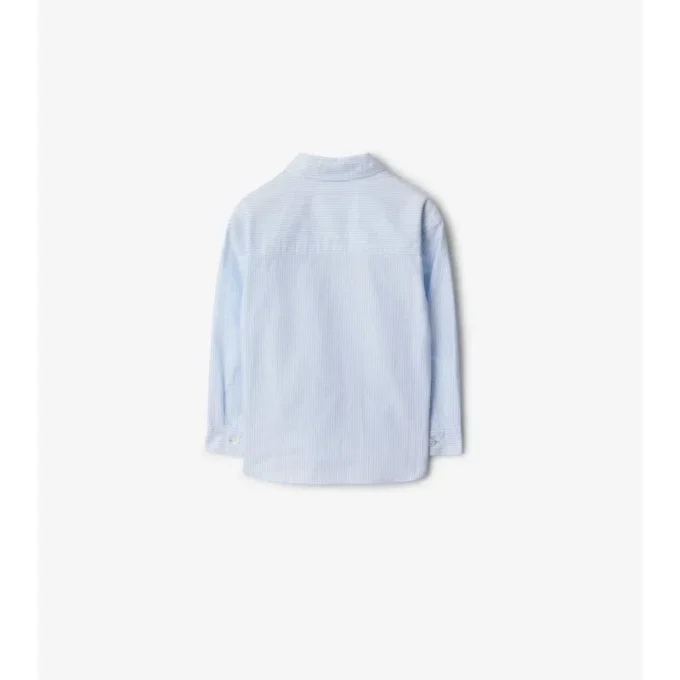 Striped Cotton Oxford Shirt