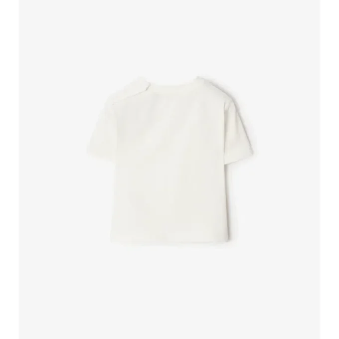 Surfer Bear Cotton T-Shirt