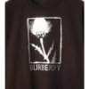 Thistle Cotton T-Shirt
