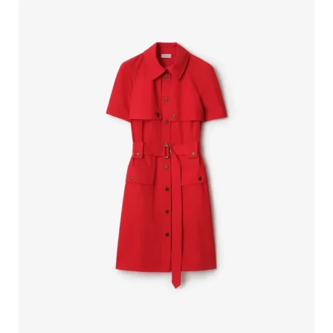 Wool Trench Dress